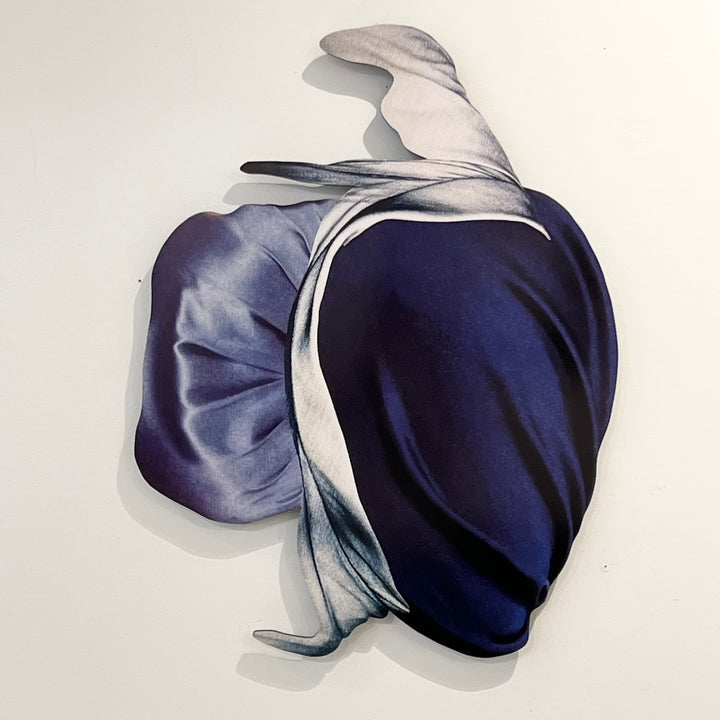 “Ambiguant No. 17” Wall Art by Jesse Matthew Petersen